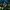 Phear_More_InsaniTOURium_01