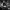 Phear_More_InsaniTOURium_10