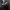 Phear_More_InsaniTOURium_14