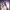 Phear_More_InsaniTOURium_22