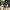 Phear_More_InsaniTOURium_27