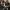 Phear_More_InsaniTOURium_28