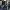 Phear_More_InsaniTOURium_31