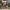 Phear_More_InsaniTOURium_32