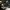Phear_More_InsaniTOURium_36