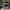 Phear_More_InsaniTOURium_37