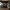 Phear_More_InsaniTOURium_38