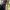 Phear_More_InsaniTOURium_40