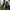 Phear_More_InsaniTOURium_41