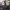 Phear_More_InsaniTOURium_42
