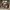 Phear_More_InsaniTOURium_43