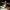 Phear_Motives_Unknown_08