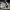 Phear_Narcosynthesis_07