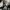 Phear_Narcosynthesis_11