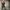 Phear_Narcosynthesis_14