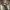 Phear_Narcosynthesis_16