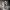 Phear_Narcosynthesis_17