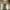 Phear_Narcosynthesis_28