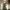 Phear_Narcosynthesis_29