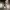 Phear_Narcosynthesis_31