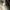 Phear_Narcosynthesis_33