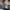 Phear_Narcosynthesis_37