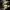 Phear_Narcosynthesis_41
