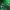 Phear_Rime_20