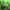 Phear_TheRockpile_17Nov17_09