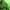 Phear_TheRockpile_17Nov17_10