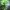 Phear_TheRockpile_17Nov17_11