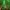 Phear_TheRockpile_17Nov17_27