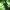 Phear_TheRockpile_17Nov17_29