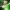 Phear_TheRockpile_17Nov17_31