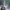 Phear_TheRockpile_17Nov17_37
