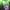 Phear_TheRockpile_17Nov17_39
