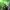 Phear_TheRockpile_17Nov17_40