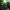 Phear_TheRockpile_17Nov17_41