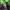 Phear_TheRockpile_17Nov17_42