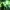 Phear_TheRockpile_17Nov17_44