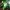 Phear_TheRockpile_17Nov17_48