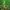 Phear_TheRockpile_17Nov17_50