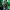 Phear_TheRockpile_4May18_05