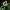 Phear_TheRockpile_4May18_26