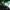 Phear_TheRockpile_4May18_27
