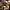 sessions_1 07