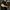 sessions_1 15