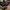 sessions_2 33